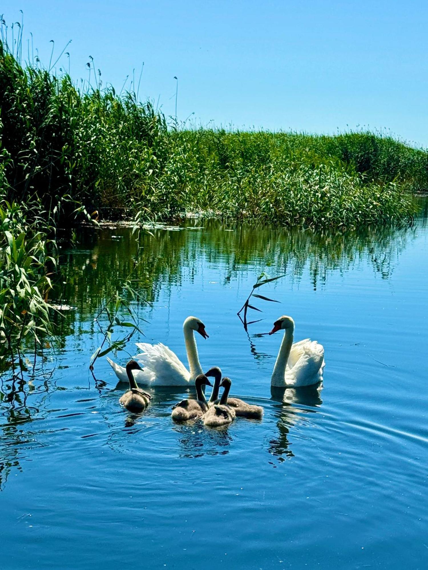Danube Delta View Hotel Dunavatu de Jos Exterior photo